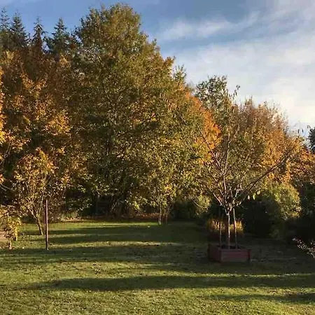 Villa Le Confort Contemporain Dans Un Ecrin De Verdure